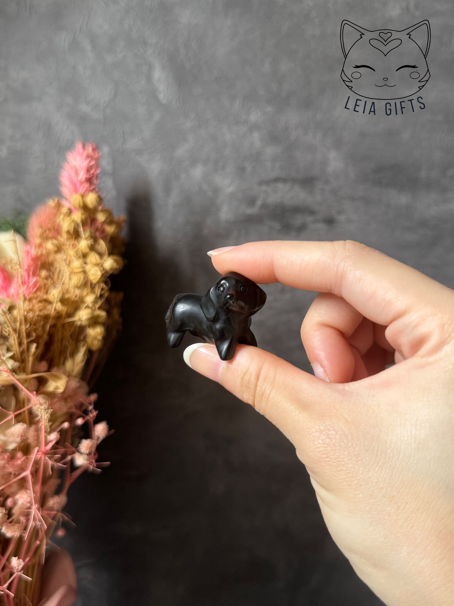 Dachshund Mini