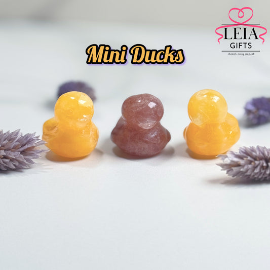 Ducks (Mini)
