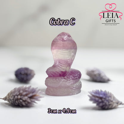 Fluorite Cobra Snakes