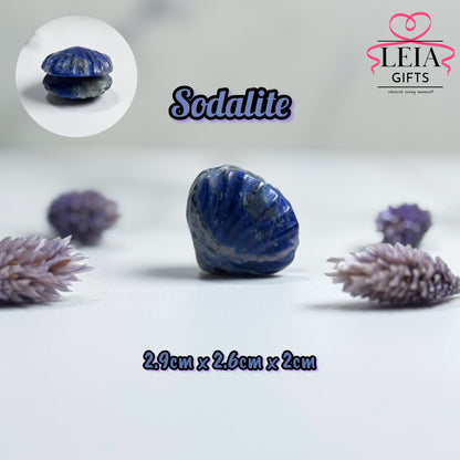 Seashells (Mini)