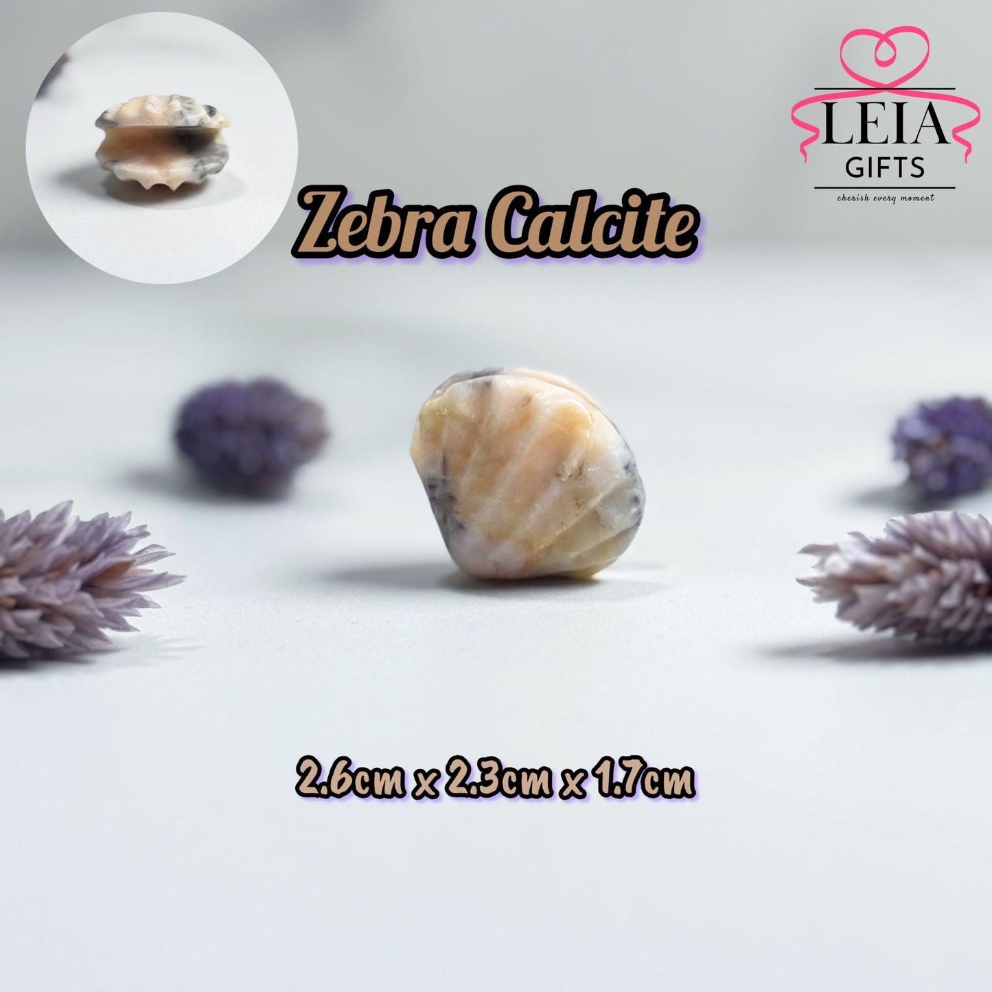 Seashells (Mini)