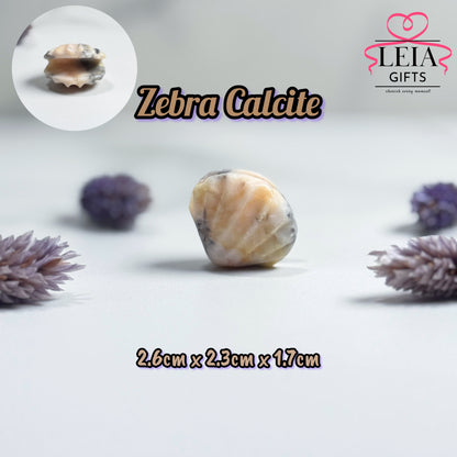 Seashells (Mini)