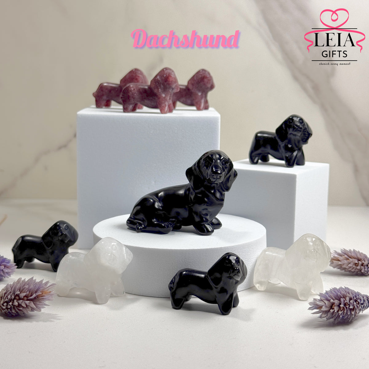 Dachshund (Mini-Medium)