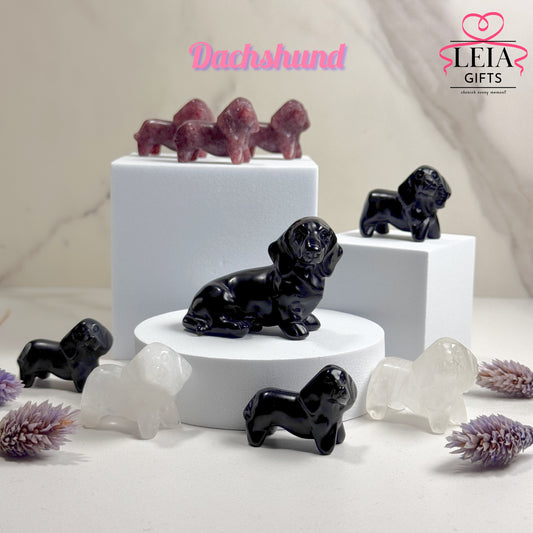 Dachshund (Mini-Medium)