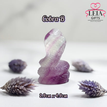 Fluorite Cobra Snakes