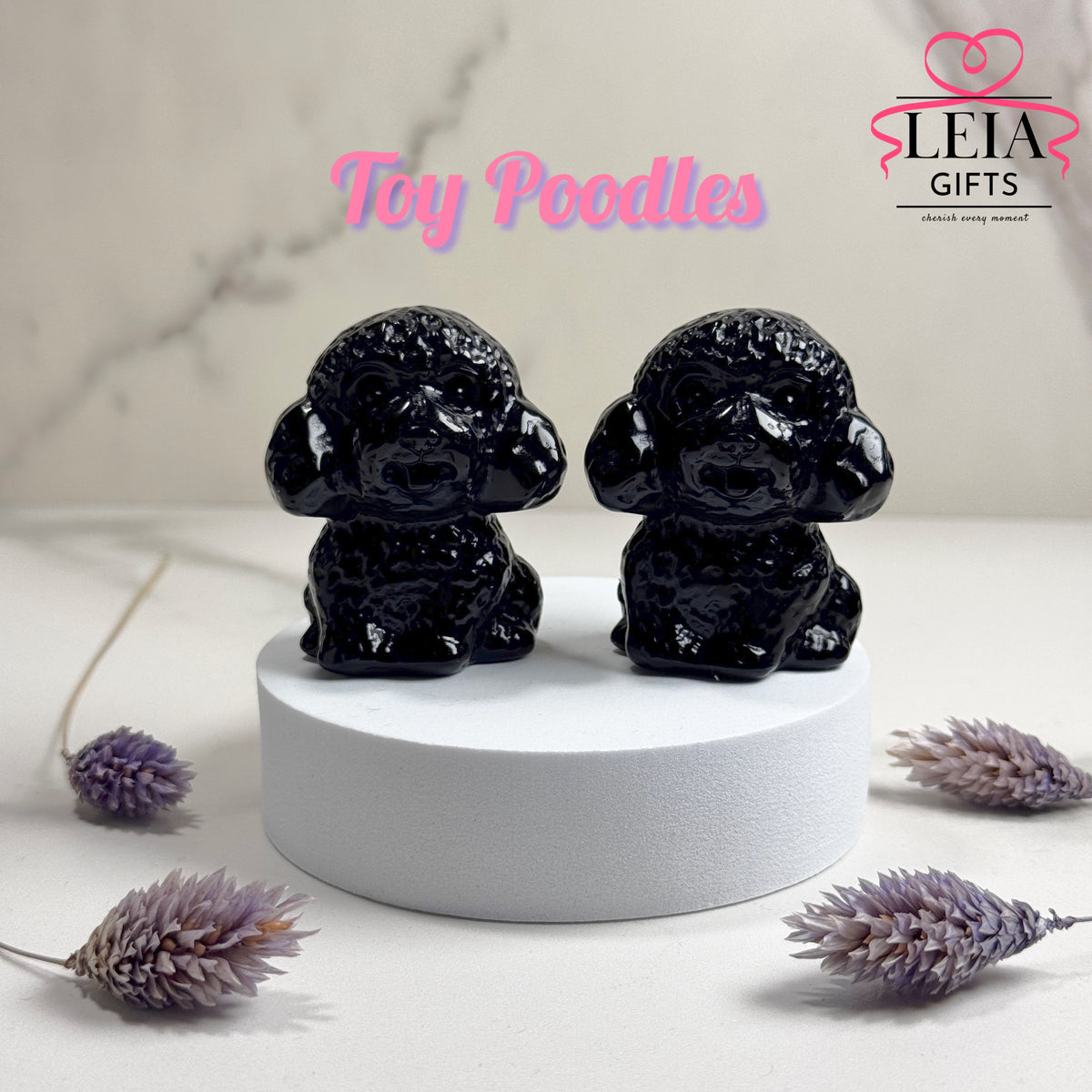 Toy Poodle (Medium)