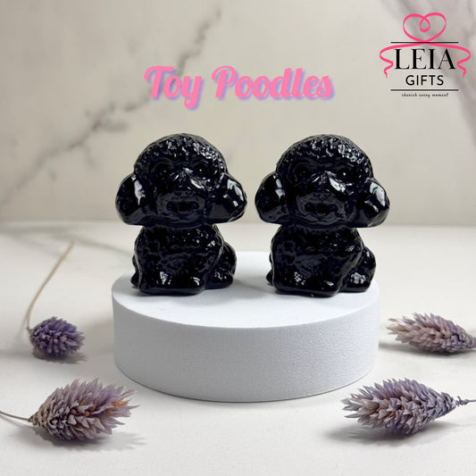 Toy Poodle (Medium)