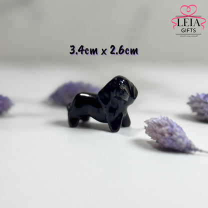 Dachshund (Mini-Medium)