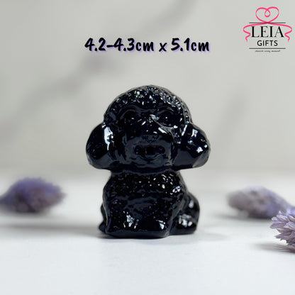 Toy Poodle (Medium)