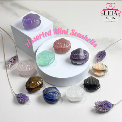 Seashells (Mini)