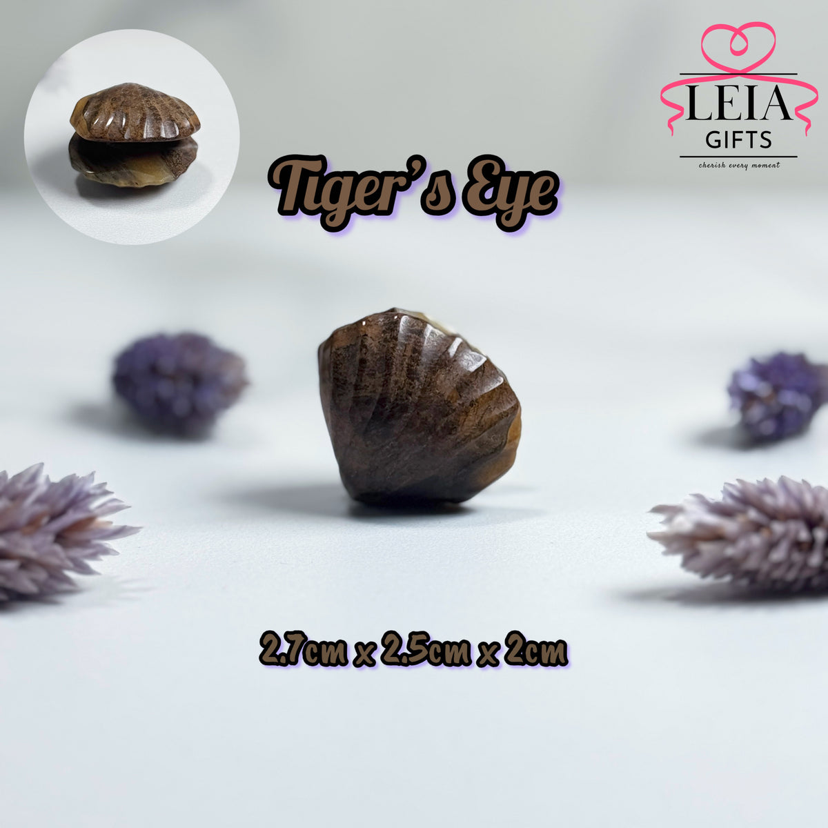 Seashells (Mini)