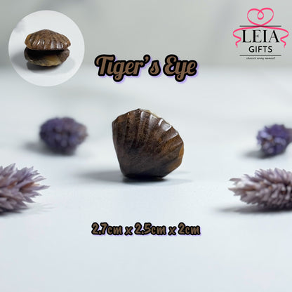 Seashells (Mini)