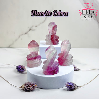 Fluorite Cobra Snakes