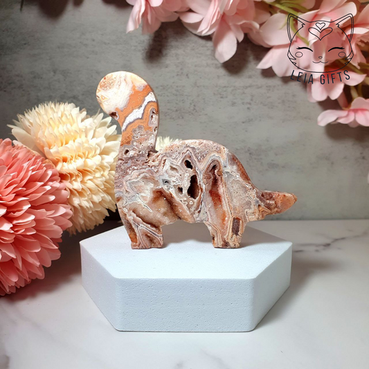 Pink Crazy Lace Agate Dinosaur