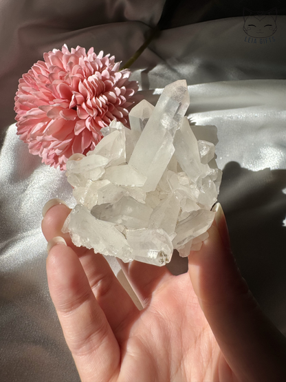 Clear Quartz Cluster