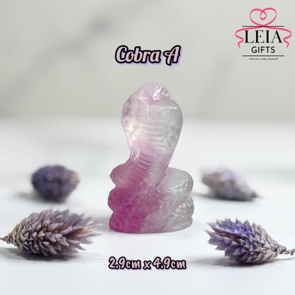 Fluorite Cobra Snakes