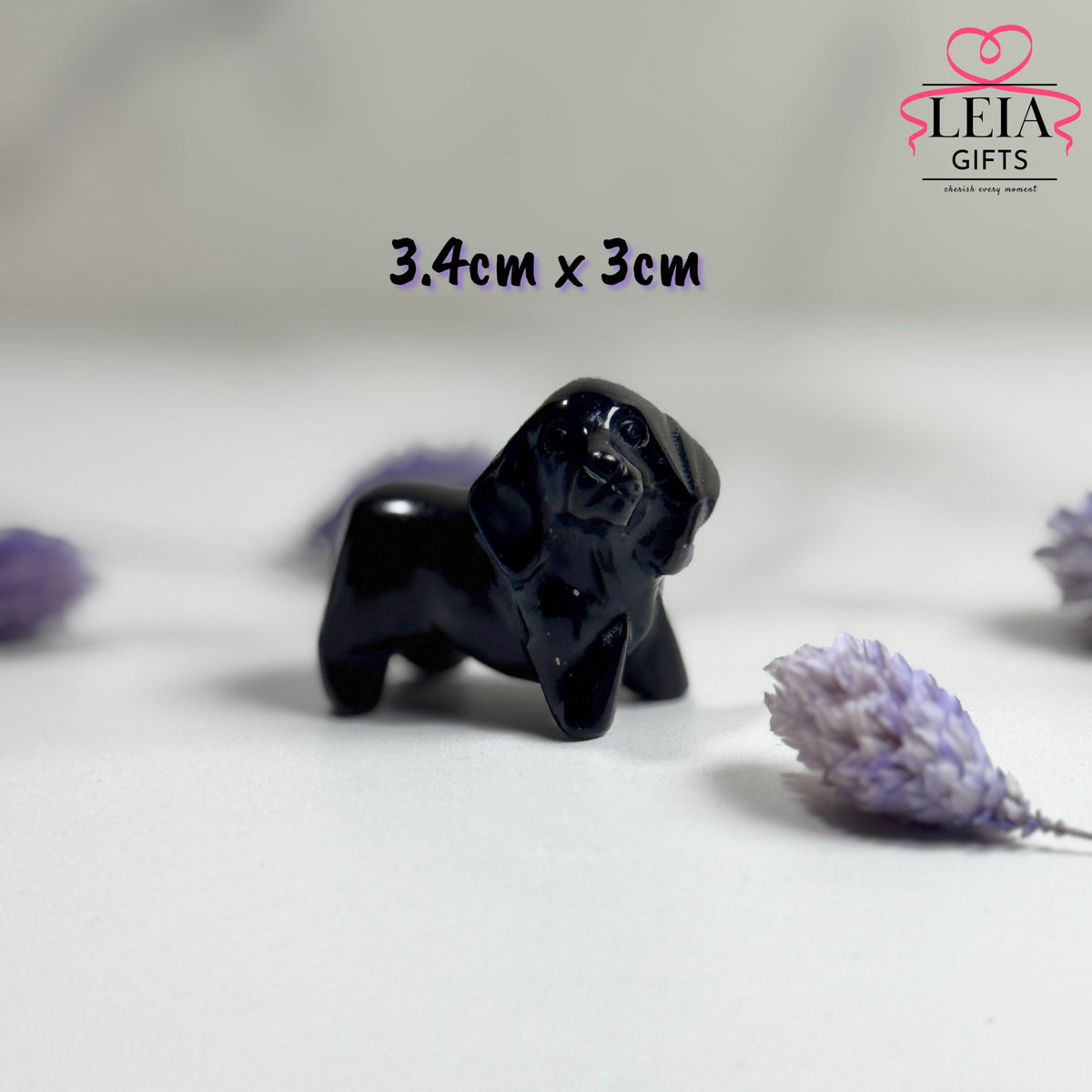 Dachshund (Mini-Medium)