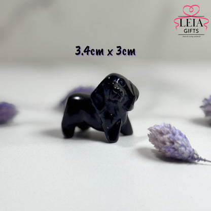 Dachshund (Mini-Medium)