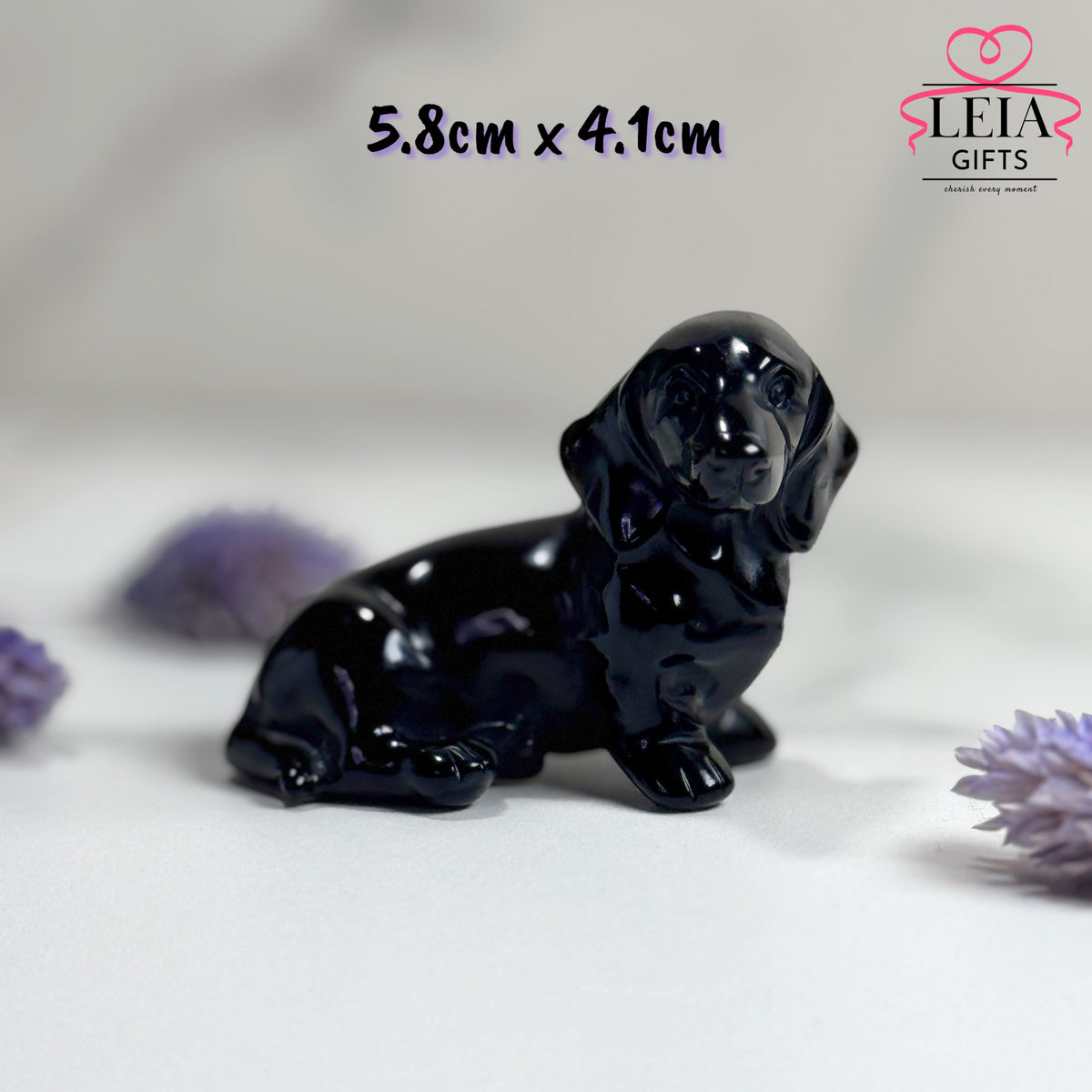 Dachshund (Mini-Medium)