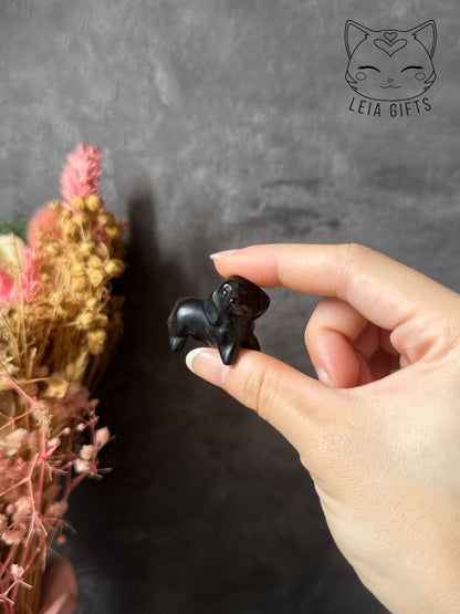 Dachshund Mini